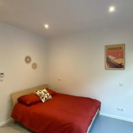 Grande Avec Piscine Au Portes De Bayonne