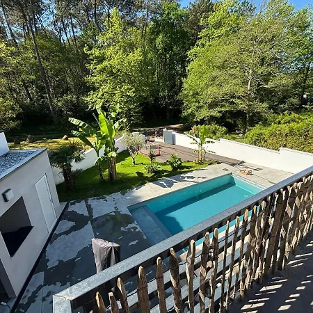 ヴィラ Grande Avec Piscine Au Portes De Bayonne Saint-Martin-de-Seignanx