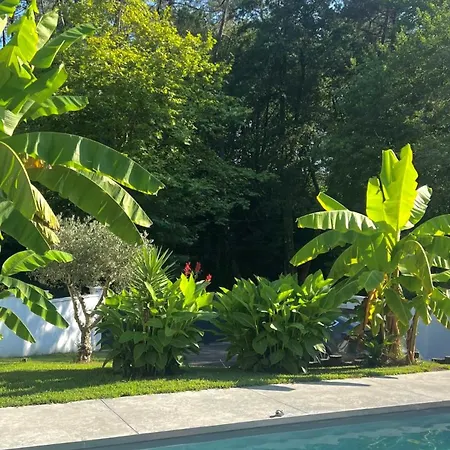 Deconnection Garantie Entre Et Piscine Vila