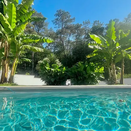 Deconnection Garantie Entre Et Piscine Saint-Martin-de-Seignanx